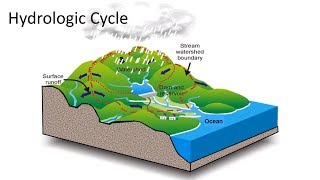 Hydrologic Cycle