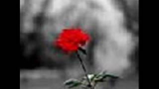 evanescence - goodnight