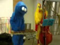 COOKIE MONSTER AND CHICKEN In Subway HD