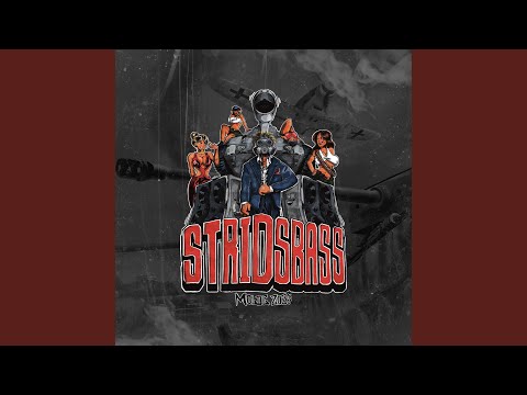 STRIDSBASS HJEMMESNEKK (feat. Avkledd, onkel shni, TheoTheGoat & andrew fake)