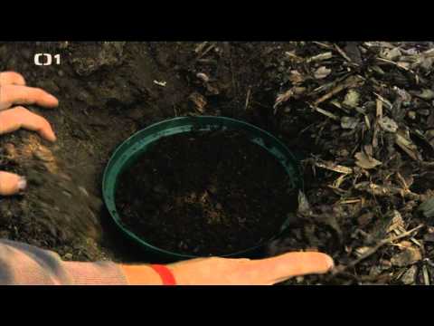 Česká televize - ČT 1 - změna loga (1. října 2012, cca 1:30)