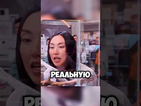 Паук был реальным!