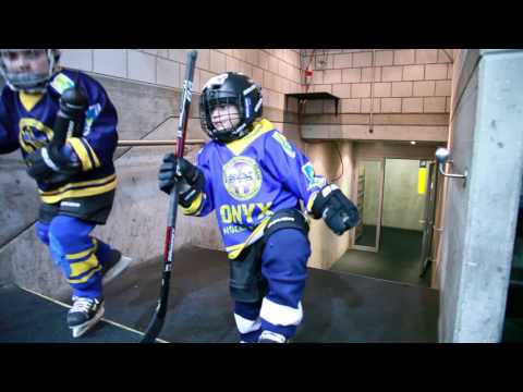 SC Langenthal Hockeyschule