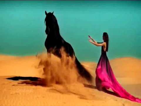 Surround me with your love - 3 -11 Porter