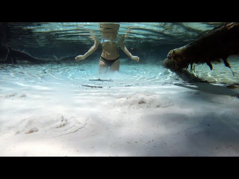 quicksand escape quicksand escape