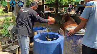 Program Kosabangsa 2024 | Desa Tlogopragoto | UMNU KEBUMEN | Teknologi Tepat Guna | Biogas