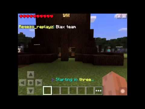 Minecraft | Hunger Games