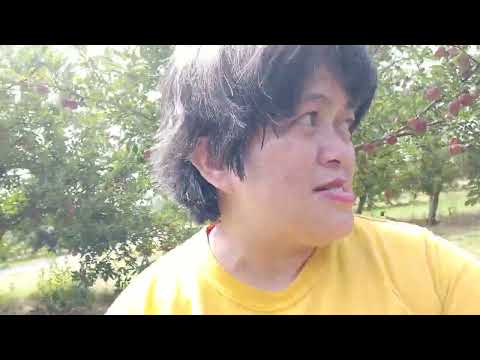 we went pick apples & pear farm