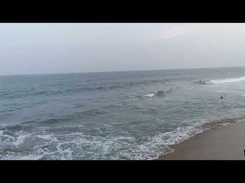 love  nature protect always