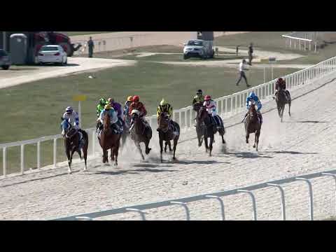 2019.03.31. 02. futam - NYERETLENEK VERSENYE (V.kat.) (szintetikus pálya)