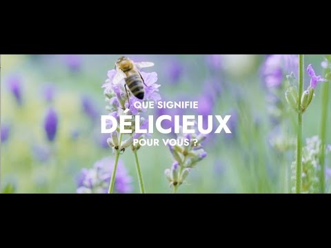 CRIANDO VIAGENS DELICIOSAS @HotelBulowPalais, Allemagne