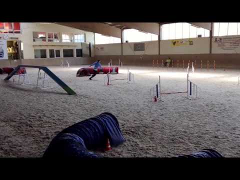 AJO Finale Zaisenhausen 24./25.03.2017 - Lou & Kite