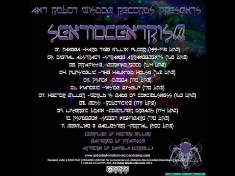 07 Hector Miller - World is Made of Consciousness