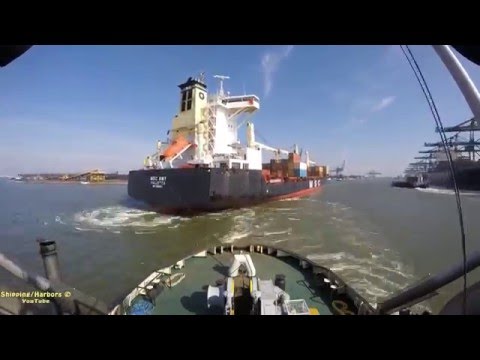TugBoat Timelapse | MSC Amy | Sunsrise