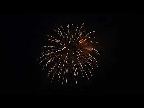 4-3406 Brocade Crown w/Red Strobe Pistil w/Brocade Tail