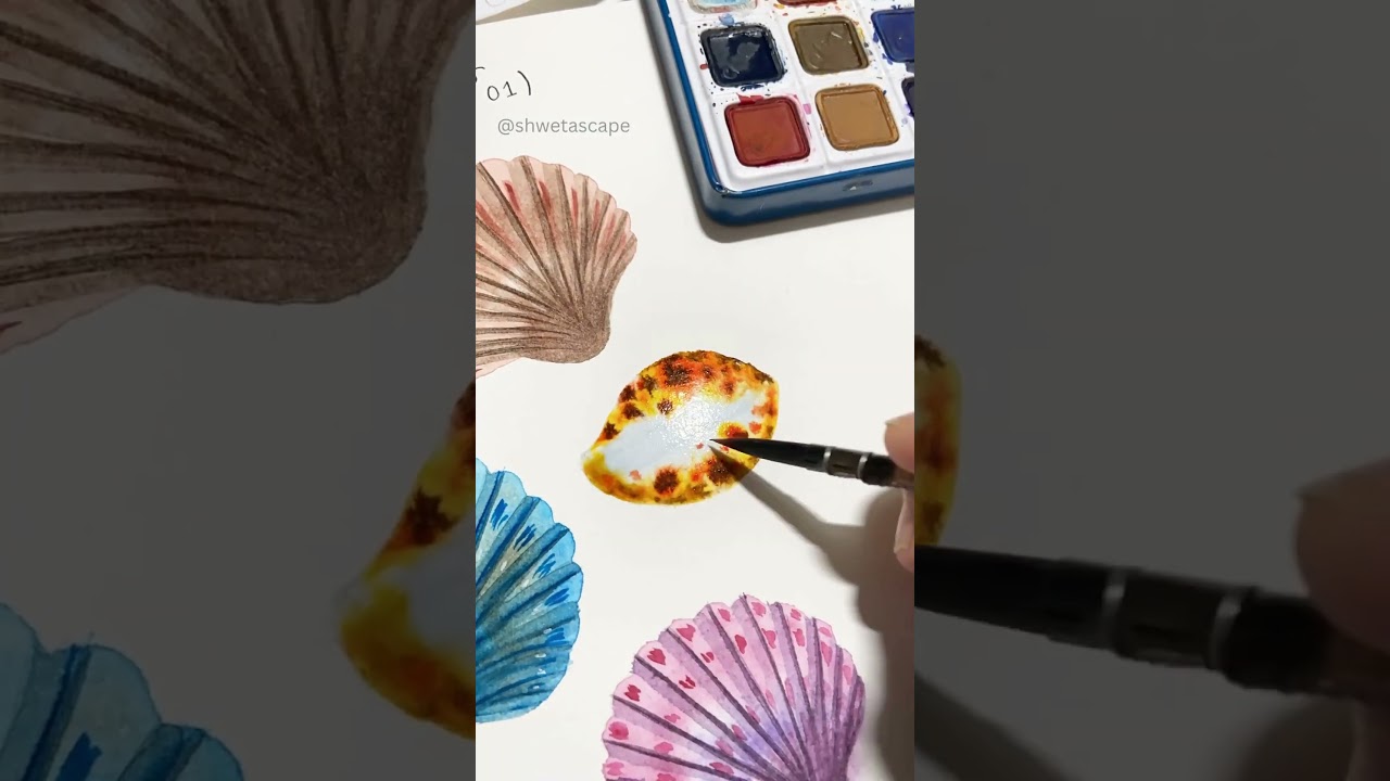 Seashell Watercolor Painting #paintingprocess #watercolor #watercolorpainting #painting #seashells