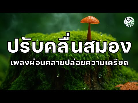 เพลงปรับคลื่นสมอง ปรับคลื่นสมองให้ช้าลง ดนตรีบำบัด เพลงผ่อนคลาย เพลงบำบัดความเครียด เพลงฟื้นฟูสมอง 