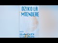 Sadzi C C A P Singers Alibe Chilungamo