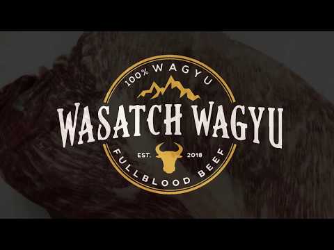 Wasatch Wagyu | A Rare Breed