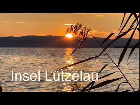 Insel Lützelau