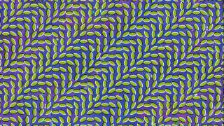 Animal Collective - Taste