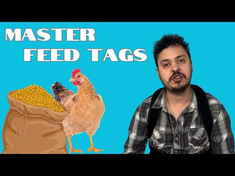 The Ultimate Guide to Feed Formulation for Poultry Farming