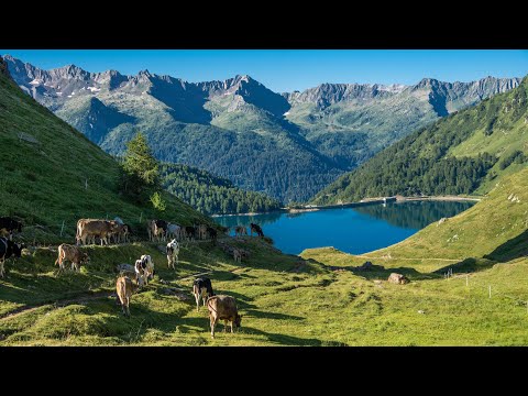Beautiful Swiss Alps - The hidden gem of Ticino - Ritom - Switzerland
