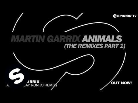 Martin Garrix - Animals (Jay Ronko Remix)
