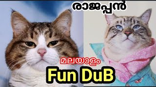 Animals Fun Dub Malayalam   AQ Vlogz