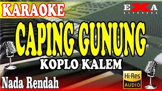Download lagu CAPING GUNUNG KARAOKE CAMPURSARI KOPLO KALEM mp3