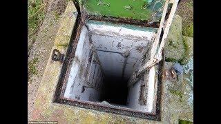 The Secret 宝探し Watch Hd Mp4 Videos Download Free