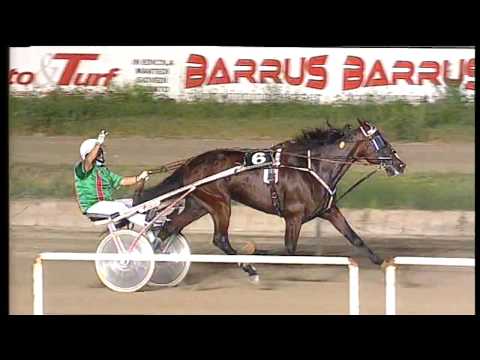 Trotto 03/07/2020 - 6ª corsa