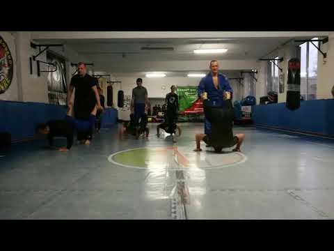 BJJ - BARRACUDA BJJ - Trening