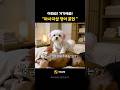 피크닉 필수 영어 표현