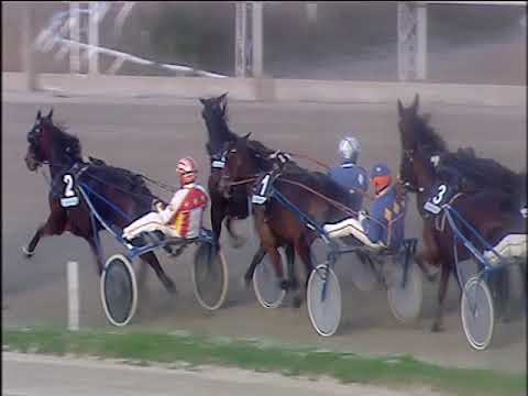 Trotto 07/12/2019 - 4ª corsa