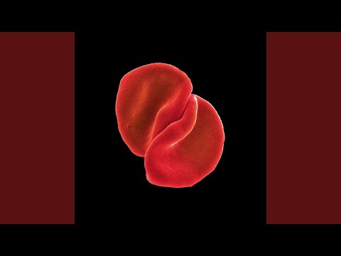 The Power Of The Heart