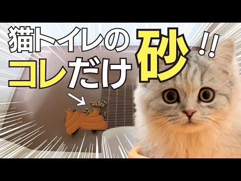 猫砂はどれくらいの頻度で交換する必要がありますか?