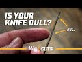 How to tell if your knife is dull #shorts