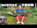 FEEDING ALL The REPTILES At My ZOO