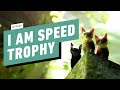 Stray - I Am Speed Walkthrough (Speed Run Trophy Guide)