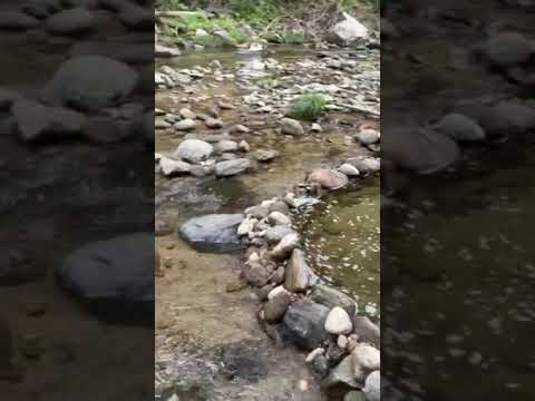 Love the sound of a bubbling creek!