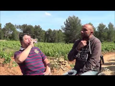 à Bandol, au domaine PIERACCI, avec Jean-Pierre PIERACCI, la vidéo !!