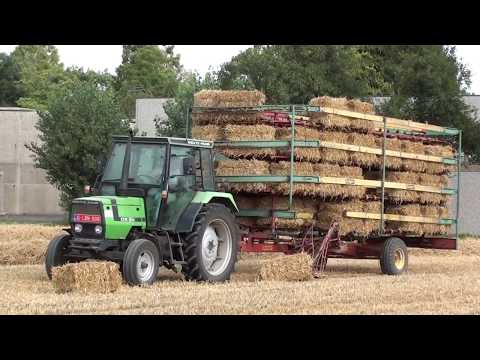 Landb. Taelman - Deerlijk - Deutz-Fahr DX 3.50 - Kemper Express BE 125