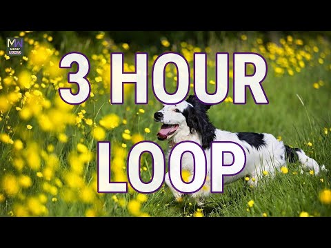 SPRING IN MY STEP — SILENT PARTNER｜SPRING IN MY STEP ★ 3 HOUR LOOP MUSIC HAPPY POP NO COPYRIGHT