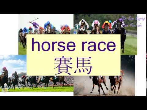 "HORSE RACE" in Cantonese (賽馬) - Flashcard