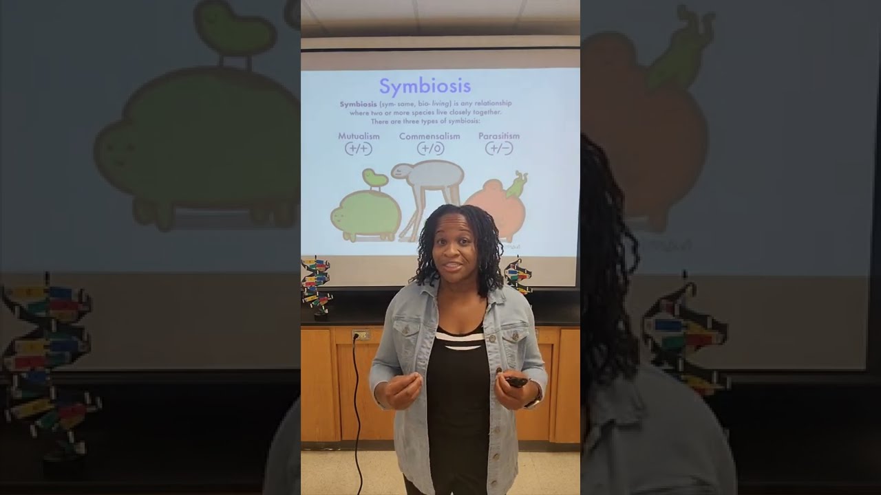 Quick SYMBIOSIS lesson