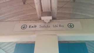 San Jose Tamien Station's Screeching Monkeys