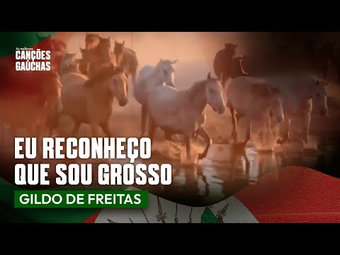 EU RECONHEÇO QUE SOU GROSSO - GILDO DE FREITAS  - LETRA