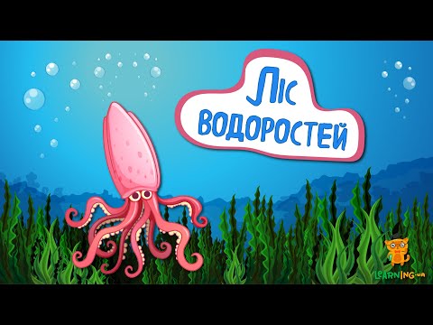 Дива природи. Явища навколо нас. Макроцистіс, або Велетенський Келп