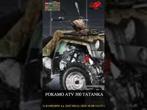 Fokamo ATV 300 Tatanka - Video 1